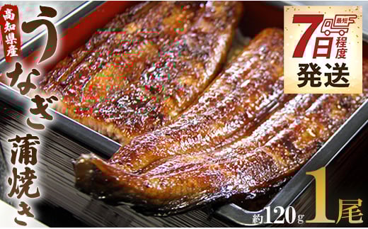 国産 うなぎ 蒲焼 1尾(無頭) 120g 鰻 うなぎ蒲焼 おいしい 冷凍 無頭 セット うなぎ屋きた本 ウナギ 鰻 うなぎ大好き 夕飯 贅沢 ご褒美 贈り物 贈答 お礼 惣菜 魚介 加工品 加工食品 おかず お手軽 冬うなぎ 7日程度 un-0013 424382 - 高知県香南市