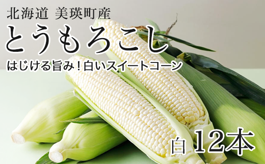 【先行予約】とうもろこし (白12本)  スイートコーン <令和8年産 >美瑛選果 | とうもろこし コーン とうきび 野菜 ベジタブル 産地直送 送料無料 北海道 道産[016-88] 1975236 - 北海道美瑛町