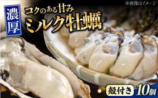 江田島ミルク牡蠣 殻付き 10個 加熱用 かき 広島県産 カキ 貝付き牡蠣 海鮮 贈呈用 BBQ 濃厚 新鮮 蒸し牡蠣 焼き牡蠣 グリル焼き 丸杉水産/江田島市 [XCY001]