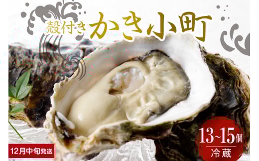 【2025年12月中旬発送】宮原水産 かき小町 殻付き 13～15個 ku005-012-12-2-25
