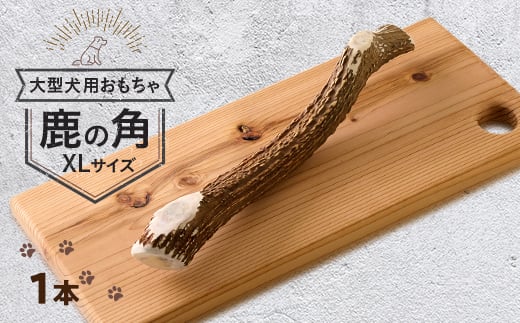 ＜大型犬向け＞鹿の角XLサイズ丸々1本(大型犬用約30cm)【1596791】 2092090 - 兵庫県猪名川町