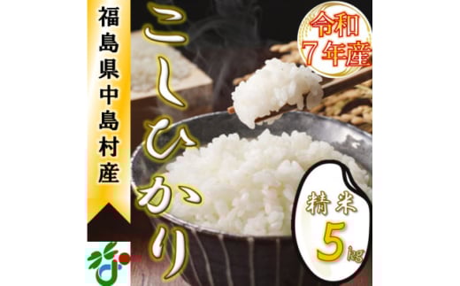 ＜数量限定/令和7年産＞中島村産『コシヒカリ』(精米)5kg【1633130】 2161489 - 福島県中島村