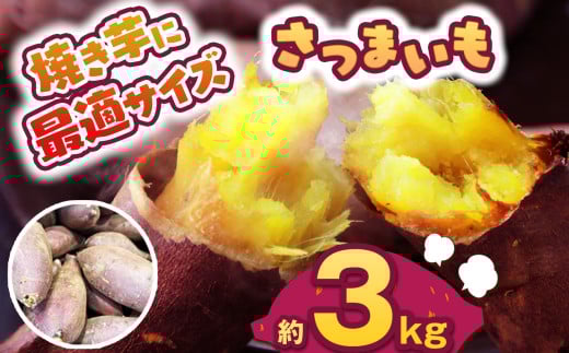 【先行予約】食べやすい焼き芋サイズ 3kg  | さつまいも 芋 さつまいもご飯 炊き込みご飯 スイートポテト 大学芋 栗きんとん 秋 さつまいも 秋の味覚 栃木県 下野市 しもつけ市