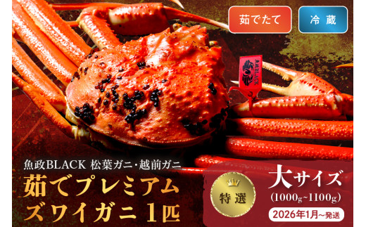 【蟹の匠 魚政】茹で　プレミアムズワイガニ 魚政BLACK（松葉ガニ・越前ガニ）特撰 大サイズ（1000～1100g） 1匹 (2026年1月～発送)【土日祝】　松葉蟹 蟹 かに カニ ガニ がに ボイル まるごと 海産物 海鮮 魚介 魚介類 甲殻類 海の幸 小 京都 京丹後 京丹後市 ふるさと納税 蟹 送料無料　UO01299