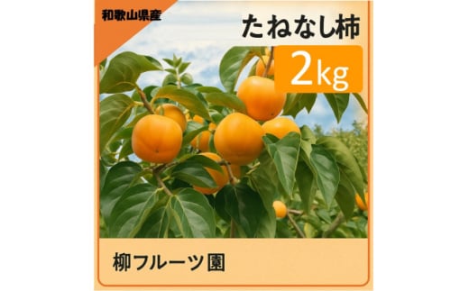 柳フルーツ園 たねなし柿 約2kg【1430450】 1300252 - 和歌山県橋本市