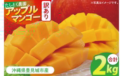 ★訳あり★沖縄県豊見城市産アップルマンゴー 約2kg｜マンゴー アップルマンゴー 訳あり わけあり フルーツ くだもの 果物 数量限定 おきなわ 沖縄 沖縄フルーツ 豊見城市(DJ002)