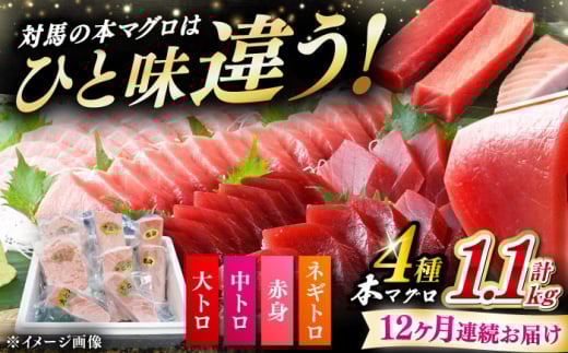 【全12回定期便】 対馬産 本マグロ 4種 計1.1kg（赤身/中トロ/大トロ/ネギトロ）《対馬市》【対海】 冷凍配送 食べ比べ 新鮮 手巻き寿司 海鮮丼 [WAH039] 2157710 - 長崎県対馬市