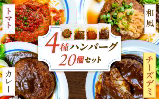 ハンバーグ食べ比べ20個セット_4種 20個 チーズデミ 和風 トマトソース カレーソース ハンバーグ 各5個 冷凍 温めるだけ 湯煎 レンジ 電子レンジ バラエティ 個包装 小分け 食べ比べ お弁当 簡単調理 お取り寄せ お取り寄せグルメ 福岡県 久留米市 送料無料_Ax405 2157963 - 福岡県久留米市