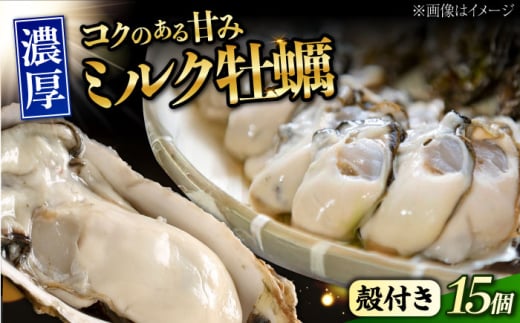 江田島ミルク牡蠣 殻付き 15個 加熱用 かき 広島県産 カキ 貝付き牡蠣 海鮮 贈呈用 BBQ 濃厚 新鮮 蒸し牡蠣 焼き牡蠣 グリル焼き 丸杉水産/江田島市 [XCY002]