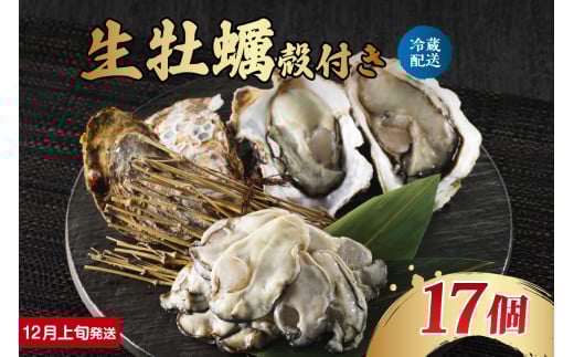【2025年12月上旬発送】ナバラ水産 生牡蠣 殻付き 17個