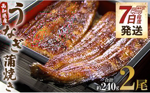 うなぎ 蒲焼き 国産 120g 2尾 鰻 うなぎ蒲焼 おいしい 冷凍 無頭 セット うなぎ屋きた本 - ウナギ 鰻 うなぎ大好き 夕飯 贅沢 ご褒美 贈り物 贈答 お礼 惣菜 魚介 加工品 加工食品 おかず お手軽 冬うなぎ 7日程度 un-0014