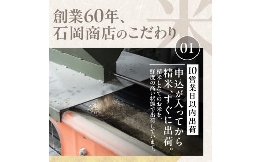 北海道余市町のふるさと納税 北海道産 ななつぼし5kg