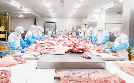 茨城県下妻市のふるさと納税 国産豚肉こま切れ2kg（250g×8パック/小分け真空包装）【下妻工場直送】【 豚肉 こま切れ パック 小分け 便利 国産 料理 ポーク ぶたにく 国産豚 マルリン】