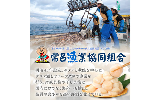 北海道北見市のふるさと納税 【2025年7月発送】北海道オホーツク海産 ホタテ貝柱 1.2kg 生食用 ( 海鮮 魚介 魚介類 貝 ほたて 刺身 貝柱 海鮮丼 贈答 ギフト 小分け 帆立貝柱 人気 ふるさと納税 ホタテ )【037-0009】