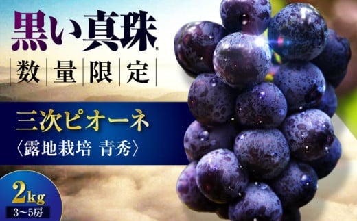 【先行予約】【8月下旬以降順次発送】 三次ピオーネ 露地栽培 青秀 2kg （3～5房） 30セット限定 ぶどう ピオーネ 葡萄 ブドウ フルーツ 果物 三次市 / 三次ピオーネ生産組合 [APBD002]  311515 - 広島県三次市