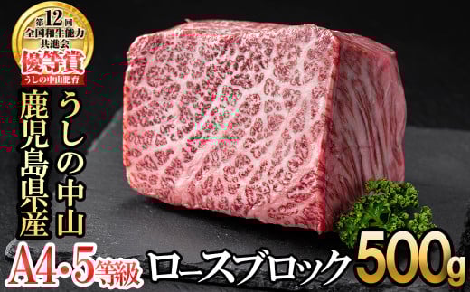 ロースブロック 500g ×1P 黒毛和牛 和牛 肉 牛肉 国産 九州産 鹿児島県産 ステーキ 焼肉 ロース 日本一 c0-126