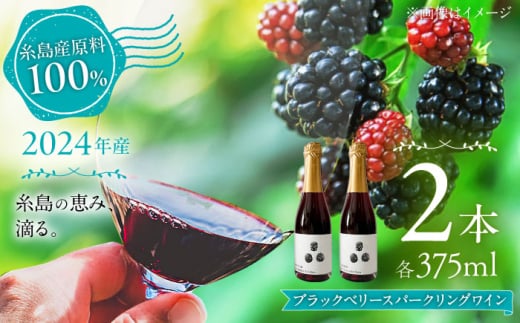 2024年産 糸島産ブラックベリースパークリングワイン 375ml 2本セット / 糸島市 / HYM FARM / お酒 赤ワイン 