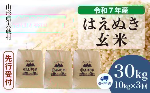 ＜令和7年産米先行受付＞ 大蔵村産 はえぬき 【玄米】 30kg定期便 （10kg×3回発送）＜配送時期選べます＞ 2161297 - 山形県大蔵村