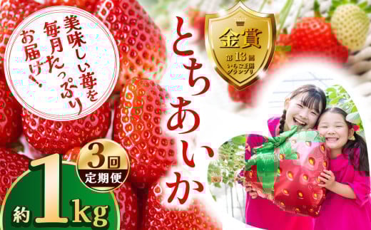 【先行予約】【定期便3回】とちあいか約1kg | 定期便 送料無料 とちあいか いちご フルーツ 甘い ジューシー苺 ｲﾁｺﾞ ハート ハート型 ﾊｰﾄ 断面 果物 おいしい 栃木県 下野市