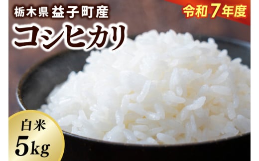 ＼令和7年産・先行予約／【数量限定】あい　farm　やなぎのお米　令和7年産 コシヒカリ 白米 5kg | 栃木県 益子町 ふるさと納税 お米 米 5kg 白米 (DQ007)