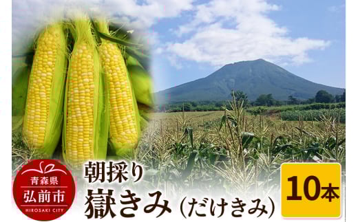 朝採り 嶽きみ（だけきみ）10本 685549 - 青森県弘前市