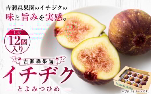 【先行予約】 吉瀬森果園 イチジク （とよみつひめ） L玉 12個入り 【2025年8月中旬から9月下旬 出荷予定】 いちじく 果物 くだもの フルーツ 果実 オリジナル品種 ハウス栽培 ゆりかーご お取り寄せ 福岡県 うきは市 883634 - 福岡県うきは市