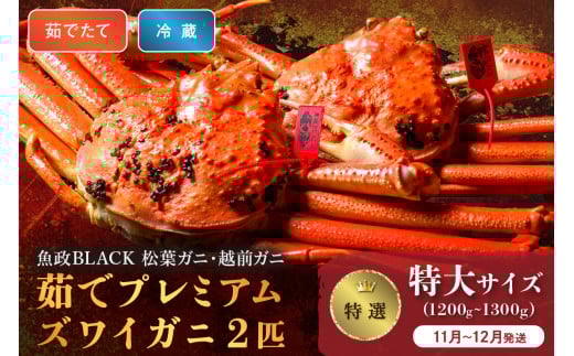 【蟹の匠 魚政】茹で　プレミアムズワイガニ 魚政BLACK（松葉ガニ・越前ガニ）特撰 特大サイズ（1200～1300g） 2匹セット　(11月～12月発送)【平日】　松葉蟹 蟹 かに カニ ガニ がに ボイル 海産物 甲殻類 海の幸 まるごと　UO01308