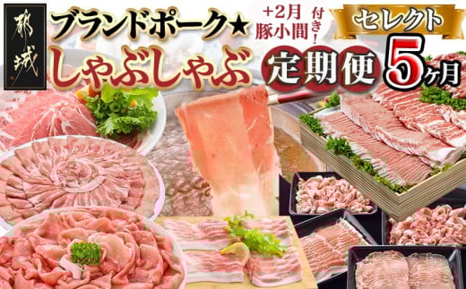 【セレクト定期便】ブランドポーク☆しゃぶしゃぶ+2月豚小間付き☆定期便(5ヶ月)≪2026年お届け≫_T60-MY03_(都城市) 定期便 しゃぶしゃぶ クイーンハーブ豚 ウデモモ ゆずポーク ブランド豚 豚小間付き