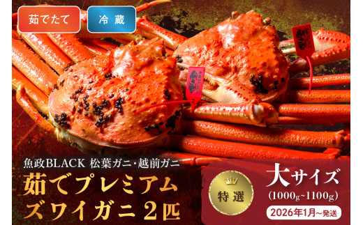 【蟹の匠 魚政】茹で　プレミアムズワイガニ 魚政BLACK（松葉ガニ・越前ガニ）特撰 大サイズ（1000～1100g） 2匹セット　 (2026年1月～発送)【土日祝】松葉蟹 蟹 かに カニ ガニ がに ボイル 海産物 甲殻類 海の幸 まるごと　UO01307
