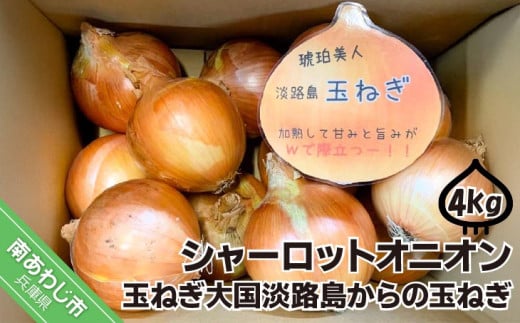 淡路島極熟玉葱4kg　シャーロットオニオン　玉ねぎ大国淡路島からの玉ねぎ 365252 - 兵庫県南あわじ市