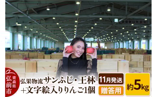 りんご【11月発送】贈答用 サンふじ・王林＋文字絵入りりんご1個 約5kg