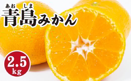 みかん【先行受付】【2026年1月末以降発送】 濃厚な甘さが特徴！青島みかん ＜約2.5kg＞ 広島 三原 佐木島 鷺島みかんじま 017053 1639559 - 広島県三原市
