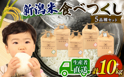 [先行予約] 令和7年産 5品種食べ比べセット 2kg 5品種 10kg コシヒカリ こしいぶき ミルキークイーン つきあかり にじのきらめき 新米 白米 米 こめ 大粒 ごはん おにぎり お弁当 農家直送 産地直送 姉﨑農園 新潟県 新発田市 anezaki012