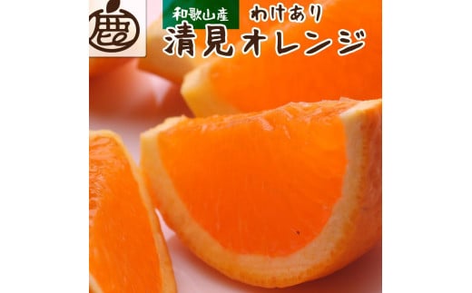 ［先行予約］家庭用 清見オレンジ5kg+250g（傷み補償分）［光センサー食頃出荷］［樹上完熟きよみオレンジ・清見タンゴール・清美］［わけあり・訳あり］［IKE143］ 765527 - 和歌山県和歌山市