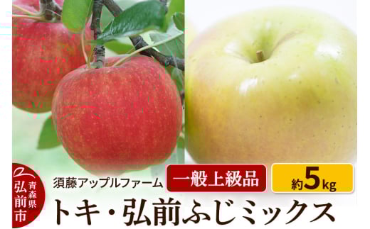 【25年10月～発送】りんご トキ・ひろさきふじミックス 一般用上級品 約5kg 685814 - 青森県弘前市