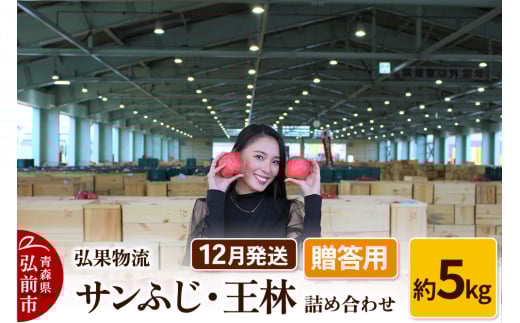 りんご【12月発送】贈答用 サンふじ・王林 詰め合わせ 約5kg 685136 - 青森県弘前市