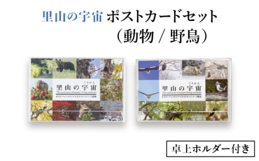 [内容選べる]ポストカードセット[泊和幸](動物/野鳥)