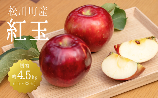 KR10-25A りんご 紅玉 贈答 約4.5kg（16～22玉） / 9月下旬頃～配送予定 // 長野県 南信州 松川町産 ギフトリンゴ 林檎 こうぎょく 農家直送 農家支援 産地直送 962683 - 長野県松川町