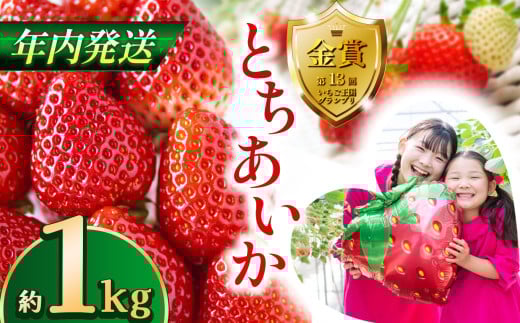 【先行予約】【12月発送】とちあいか約1kg | 送料無料 とちあいか いちご フルーツ 甘い ジューシー苺 ｲﾁｺﾞ ハート ハート型 ﾊｰﾄ 断面 果物 おいしい 栃木県 下野市
