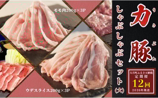【定期便12回】ブランド豚 力豚しゃぶしゃぶセット(大)