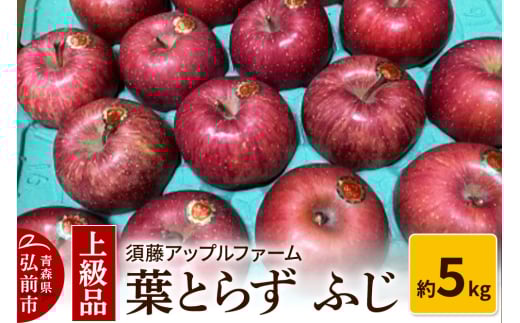 【25年12月発送】りんご 上級品 葉とらず ふじ 約5kg 685816 - 青森県弘前市