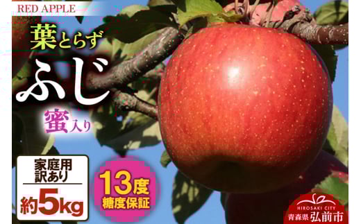 【25年12月発送】りんご 蜜入り 13度糖度保証【訳あり】家庭用 葉とらずふじ 約5kg 1106846 - 青森県弘前市