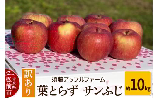 【26年1月発送】りんご【訳あり】家庭用 葉とらず サンふじ 約10kg 685982 - 青森県弘前市