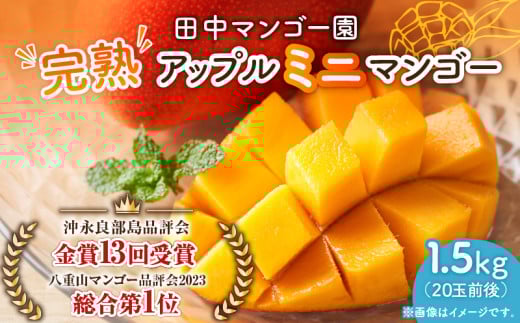 完熟アップルミニマンゴー 1.5kg　W001-014