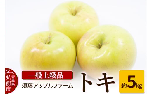 【25年10月～発送】りんご トキ 一般用上級品 約5kg 685813 - 青森県弘前市