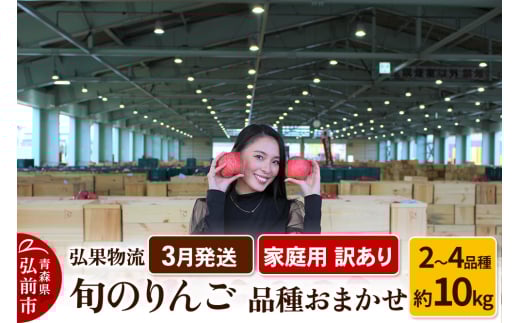 りんご【3月発送】家庭用 訳あり 旬のりんご 品種おまかせ 約10kg 2品種～4品種