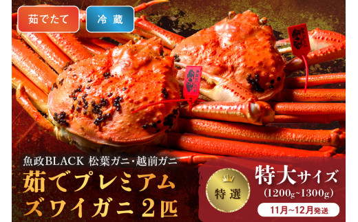 【蟹の匠 魚政】茹で　プレミアムズワイガニ 魚政BLACK（松葉ガニ・越前ガニ）特撰 特大サイズ（1200～1300g） 2匹セット　(11月～12月発送)【土日祝】　松葉蟹 蟹 かに カニ ガニ がに ボイル 海産物 甲殻類 海の幸 まるごと　UO01308