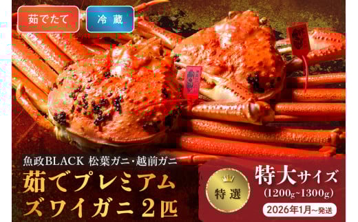 【蟹の匠 魚政】茹で　プレミアムズワイガニ 魚政BLACK（松葉ガニ・越前ガニ）特撰 特大サイズ（1200～1300g） 2匹セット　 (2026年1月～発送)【土日祝】　松葉蟹 蟹 かに カニ ガニ がに ボイル 海産物 甲殻類 海の幸 まるごと　UO01309