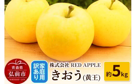 【25年9月発送】りんご【訳あり】家庭用 きおう（黄王） 約5kg 1454066 - 青森県弘前市