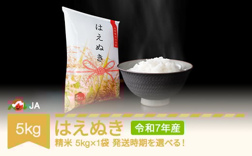 【先行予約】新米 米 5kg はえぬき 精米 令和7年産 2026年1月上旬 ja-haxxa5-s1a 2159639 - 山形県村山市